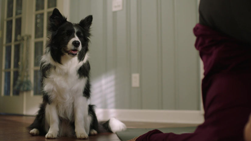 Owens Corning | Atticat